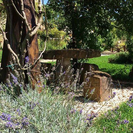 Abbazia Sette Frati Agriturismo Fratres Pietrafitta  Pokoj fotografie