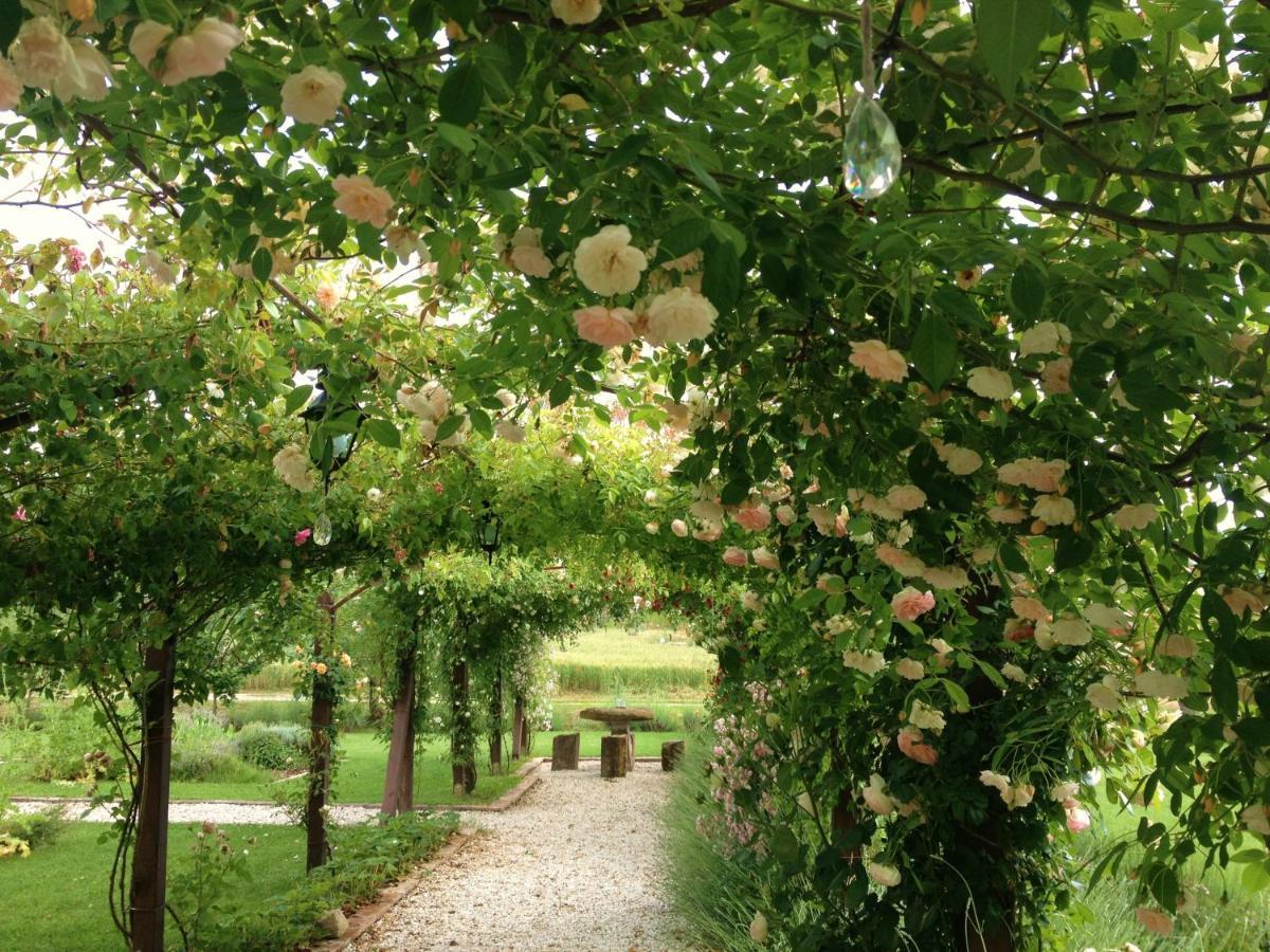 Abbazia Sette Frati Agriturismo Fratres Pietrafitta  Pokoj fotografie